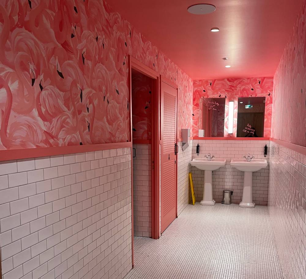 Rocky pop Grenoble - Toilettes