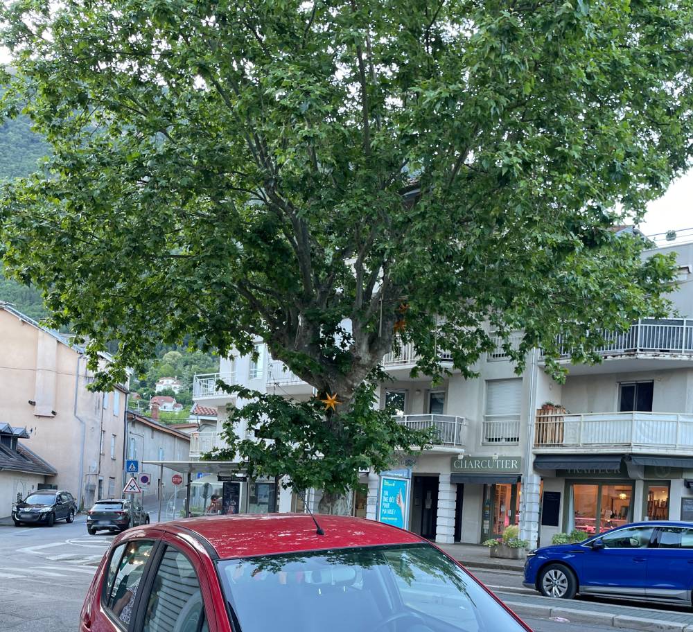 Maison Badine La Tronche - Rue à droite