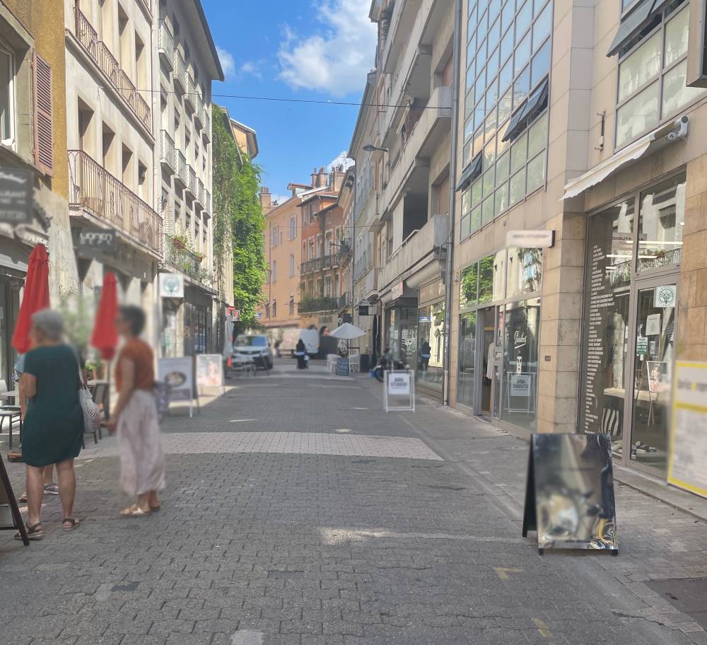 Le flamant d'or Grenoble - Rue à droite
