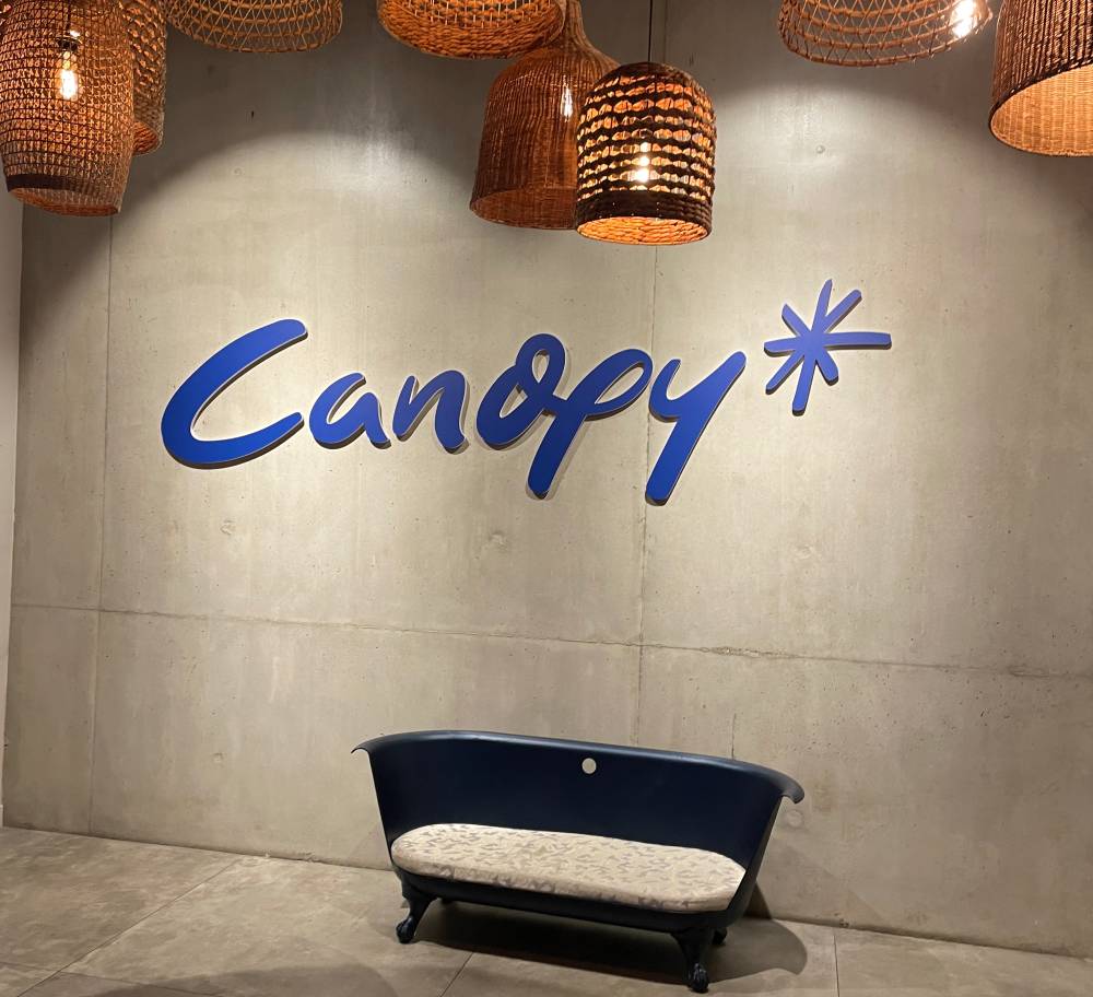 Canopy Echirolles - Entrée
