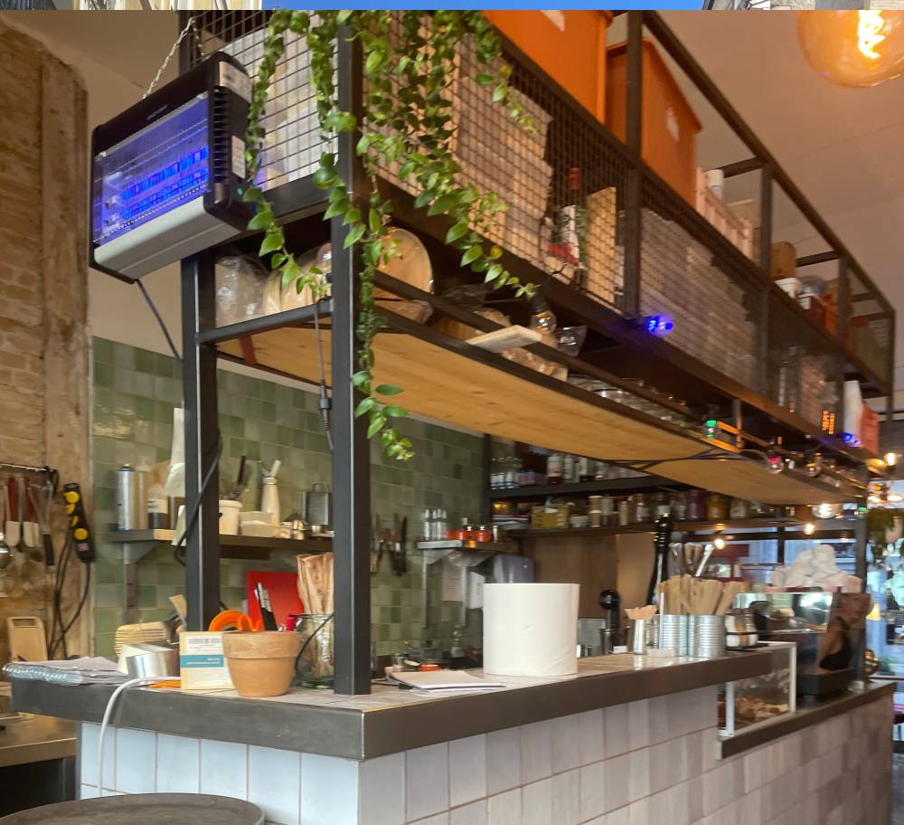 Minouch café Grenoble - Comptoir/Bar