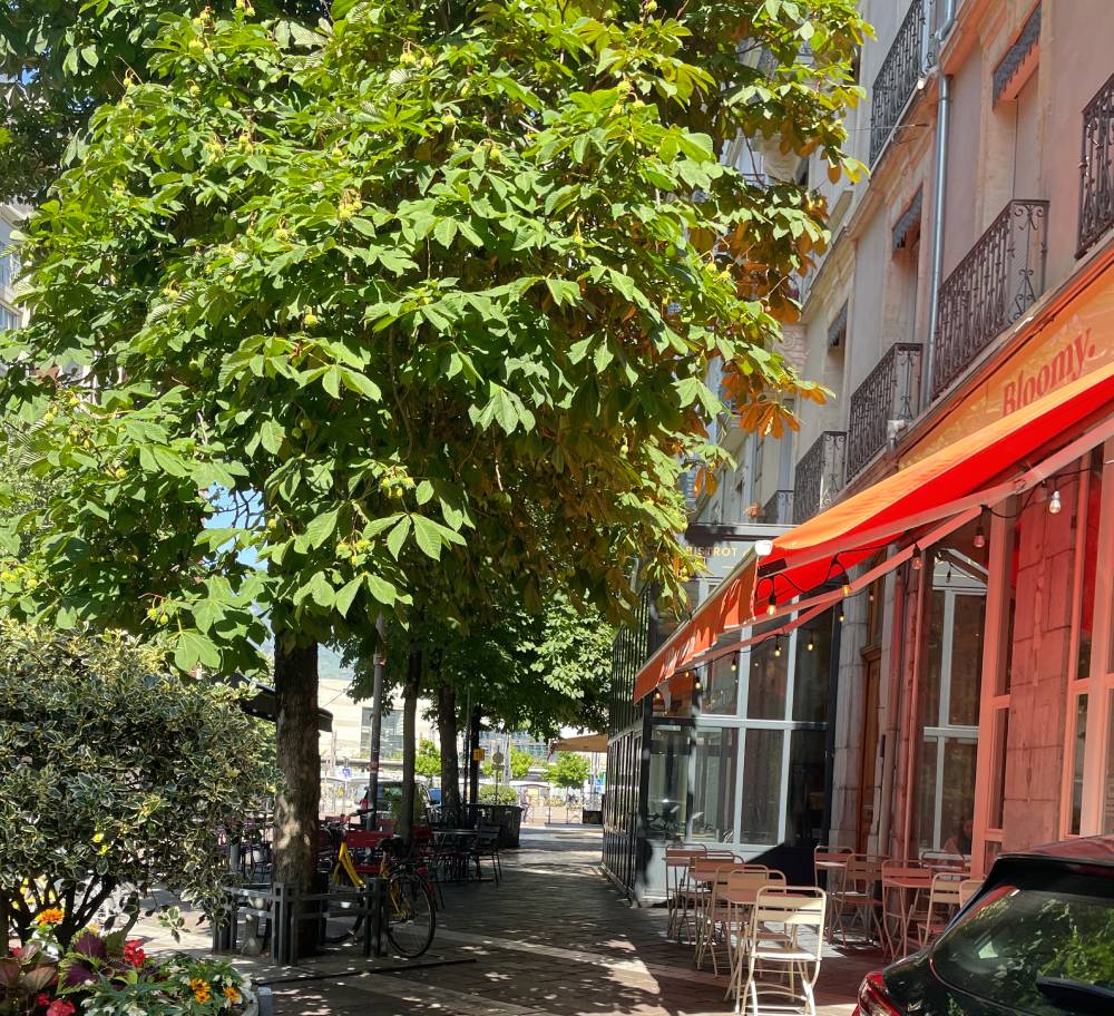 Bloomy Grenoble - Rue à gauche